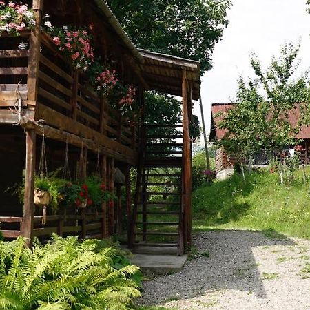Cabana Victor Sighetu Marmaţiei Buitenkant foto