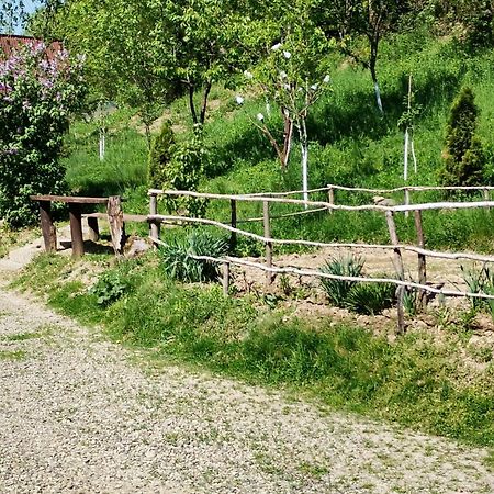 Cabana Victor Sighetu Marmaţiei Buitenkant foto