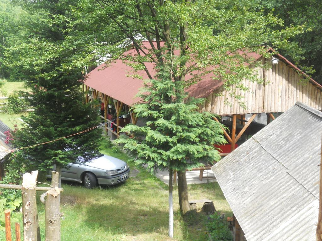 Cabana Victor Sighetu Marmaţiei Kamer foto