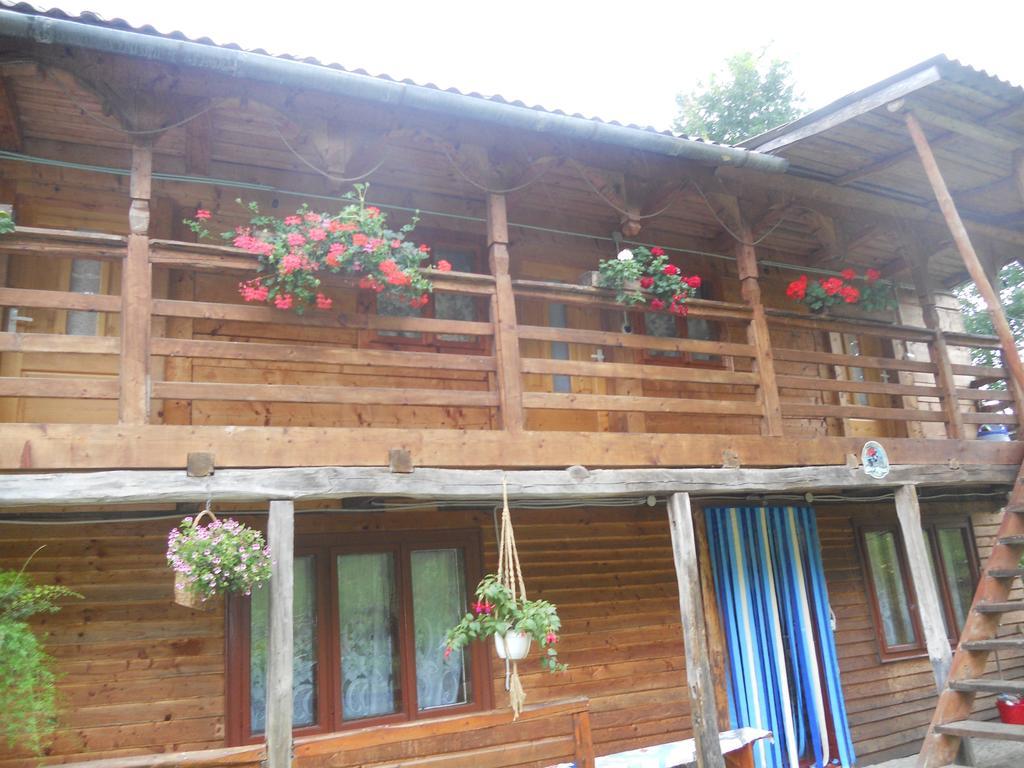 Cabana Victor Sighetu Marmaţiei Kamer foto