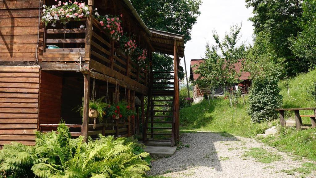 Cabana Victor Sighetu Marmaţiei Buitenkant foto