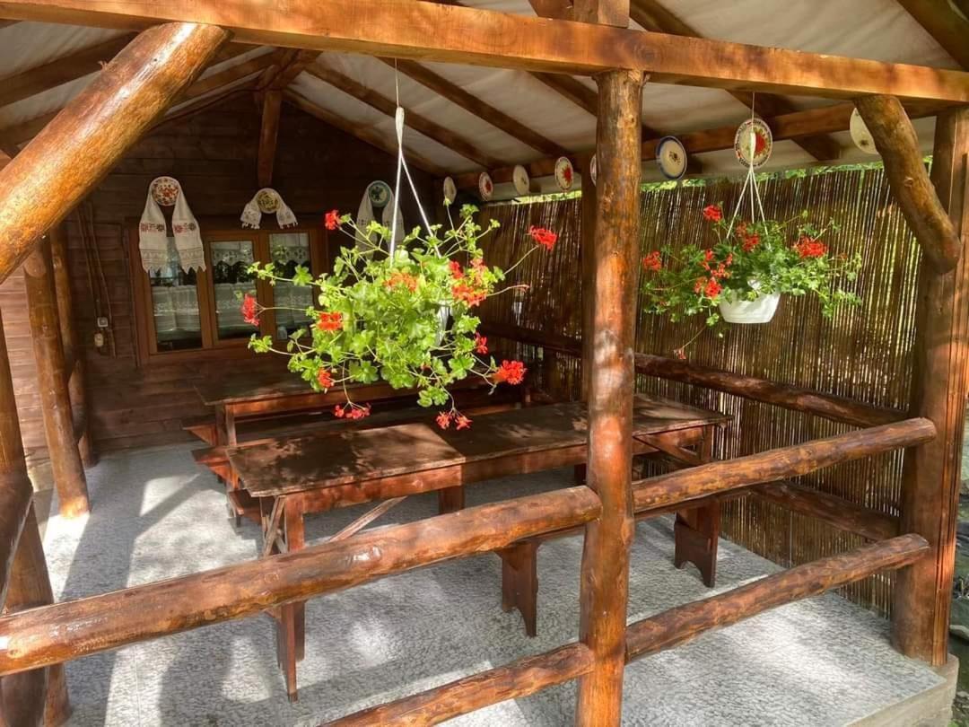 Cabana Victor Sighetu Marmaţiei Buitenkant foto