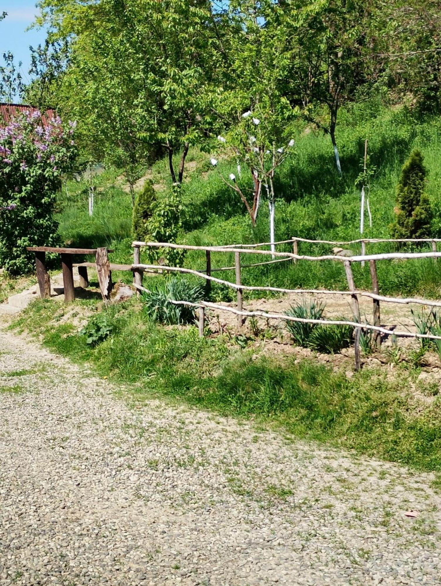 Cabana Victor Sighetu Marmaţiei Buitenkant foto