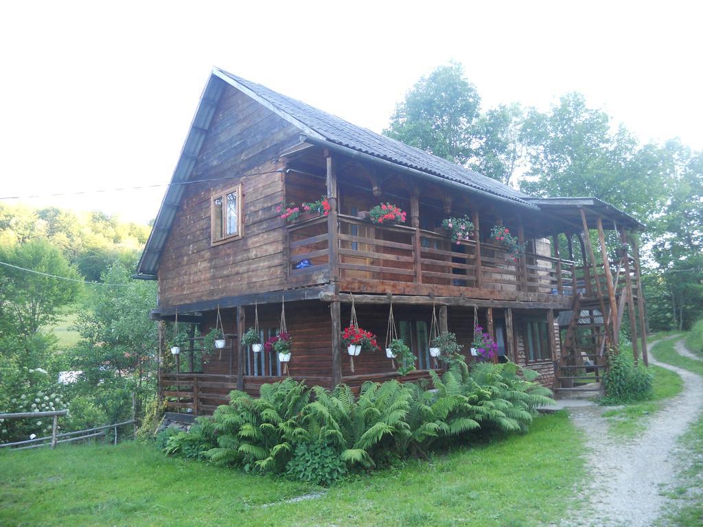 Cabana Victor Sighetu Marmaţiei Buitenkant foto