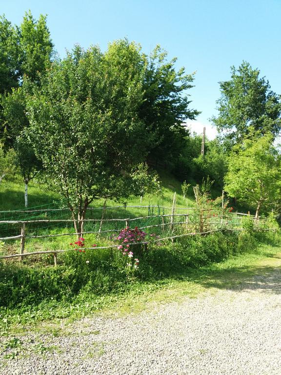 Cabana Victor Sighetu Marmaţiei Buitenkant foto