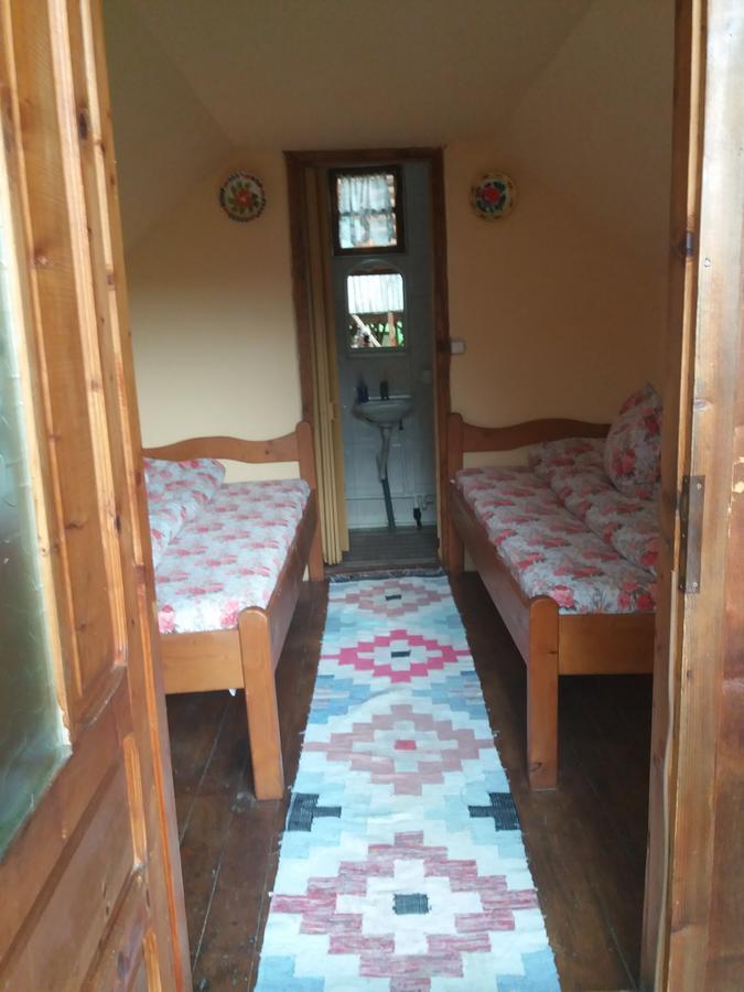 Cabana Victor Sighetu Marmaţiei Buitenkant foto
