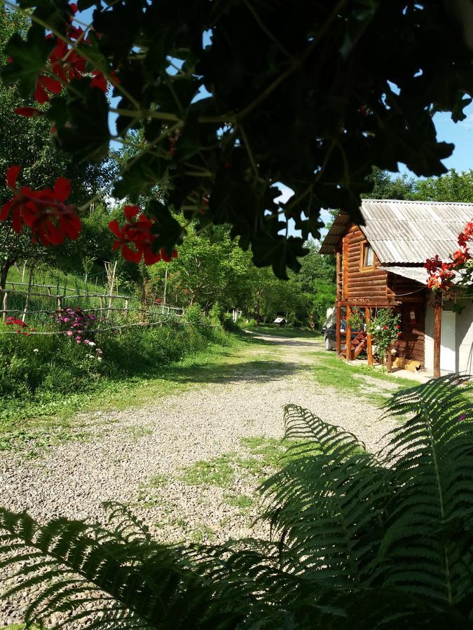 Cabana Victor Sighetu Marmaţiei Buitenkant foto