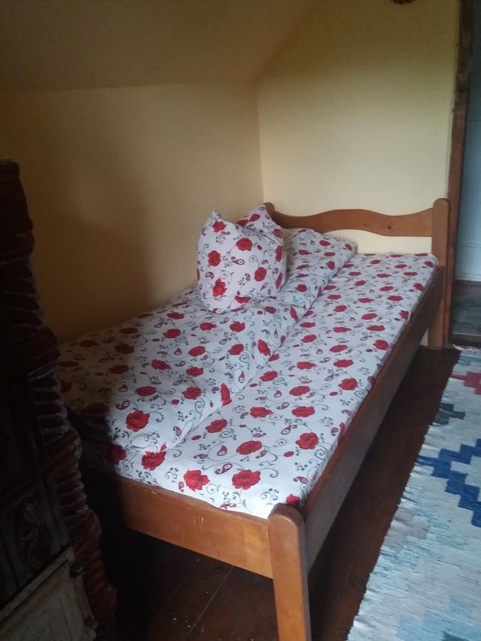 Cabana Victor Sighetu Marmaţiei Buitenkant foto