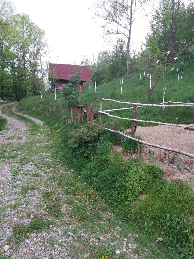 Cabana Victor Sighetu Marmaţiei Buitenkant foto