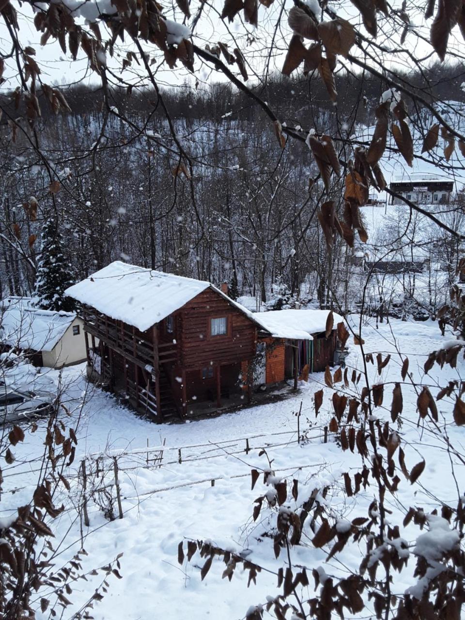 Cabana Victor Sighetu Marmaţiei Buitenkant foto