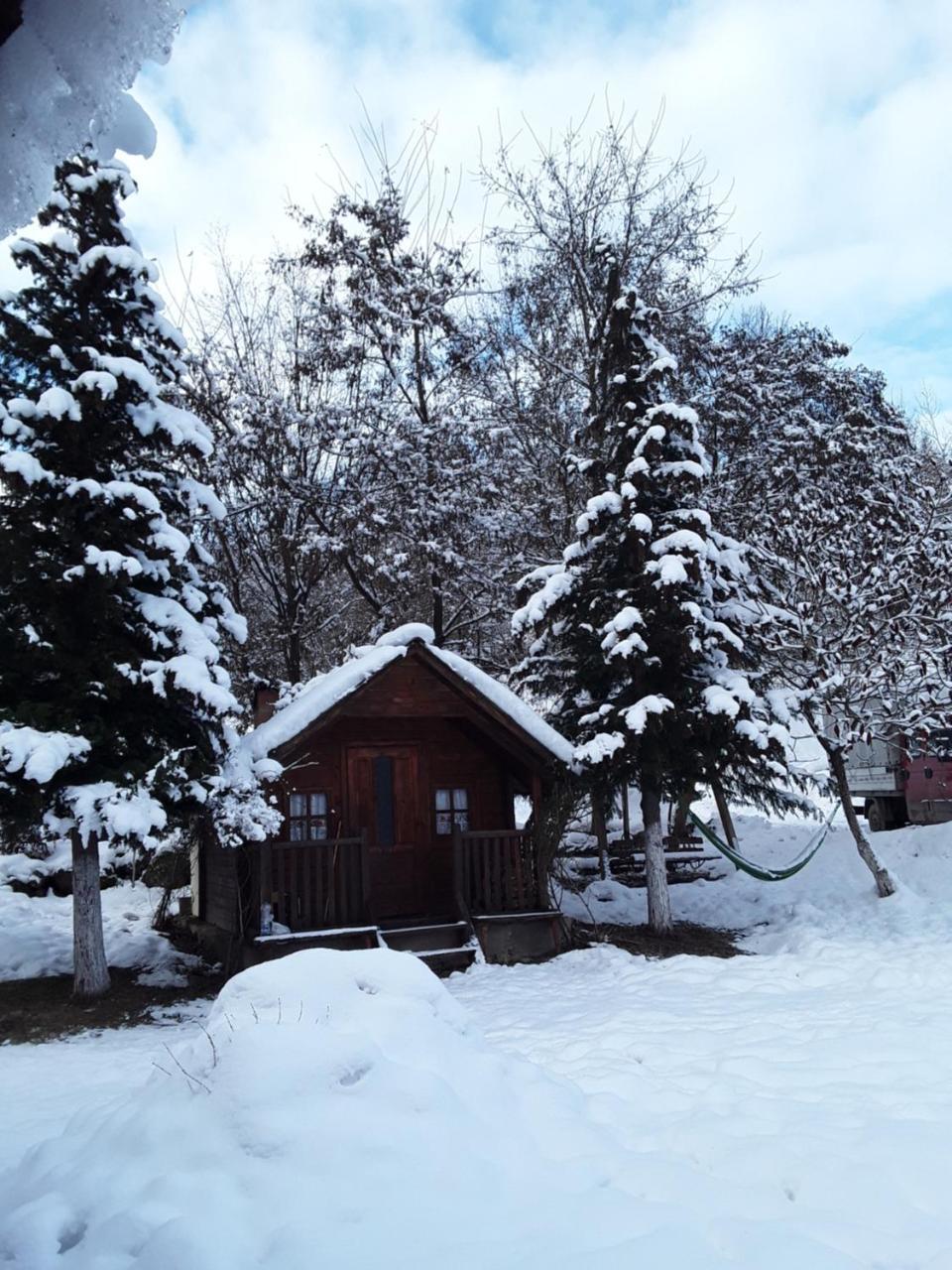 Cabana Victor Sighetu Marmaţiei Buitenkant foto