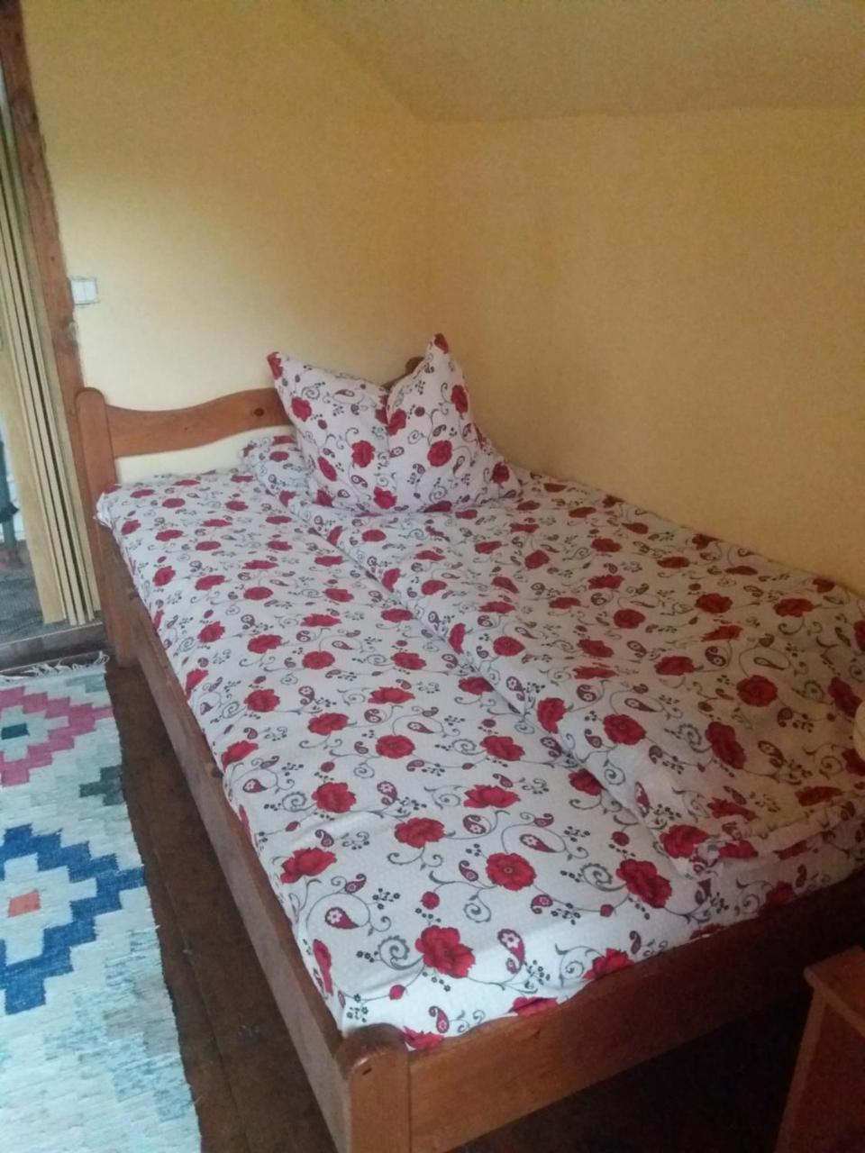 Cabana Victor Sighetu Marmaţiei Buitenkant foto