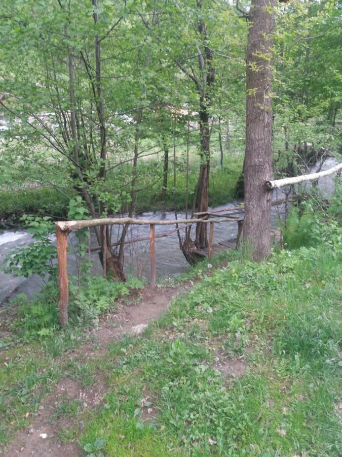 Cabana Victor Sighetu Marmaţiei Buitenkant foto