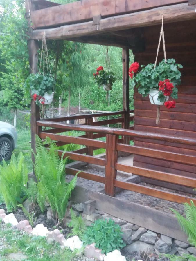 Cabana Victor Sighetu Marmaţiei Buitenkant foto