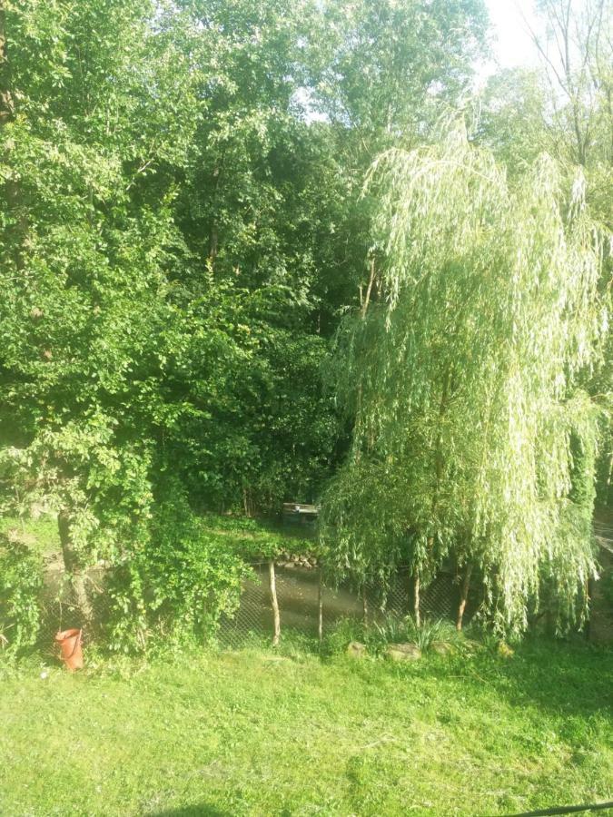 Cabana Victor Sighetu Marmaţiei Buitenkant foto