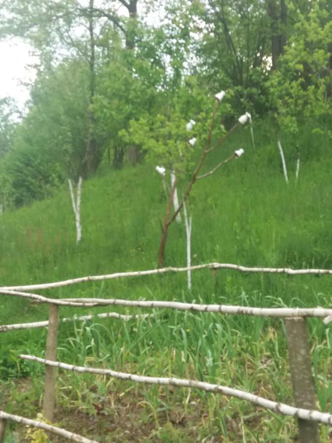 Cabana Victor Sighetu Marmaţiei Buitenkant foto