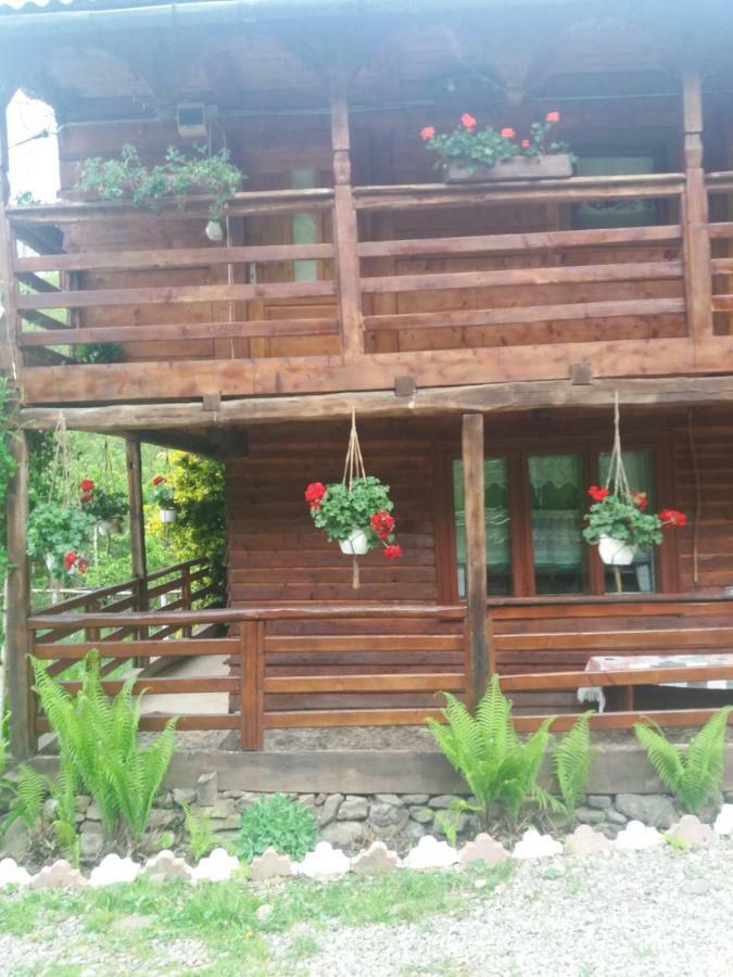 Cabana Victor Sighetu Marmaţiei Buitenkant foto
