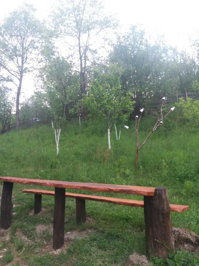 Cabana Victor Sighetu Marmaţiei Buitenkant foto