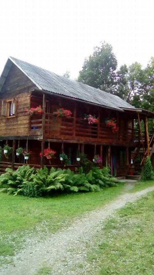 Cabana Victor Sighetu Marmaţiei Buitenkant foto