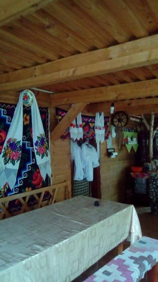 Cabana Victor Sighetu Marmaţiei Buitenkant foto